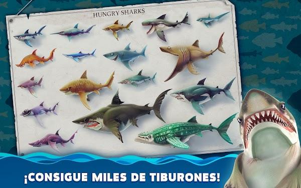 hungry shark world apk