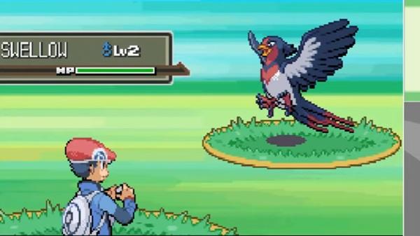 pokemon platinum randomizer rom NDS