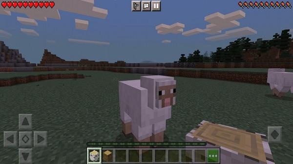 minecraft 1 21 50 free