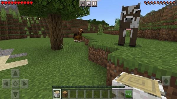 minecraft 1 21 50 full