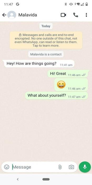 whatsapp plus apk mediafire