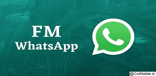 FM WhatsApp