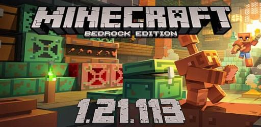 Minecraft 1.21.113