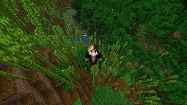 minecraft 1 21 62 apk free