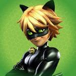 Chat Noir Brasil
