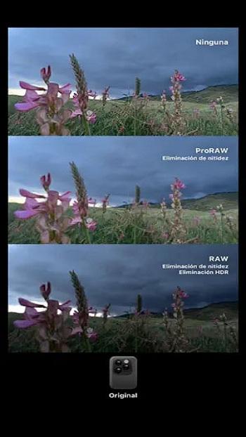 dazz cam apk android