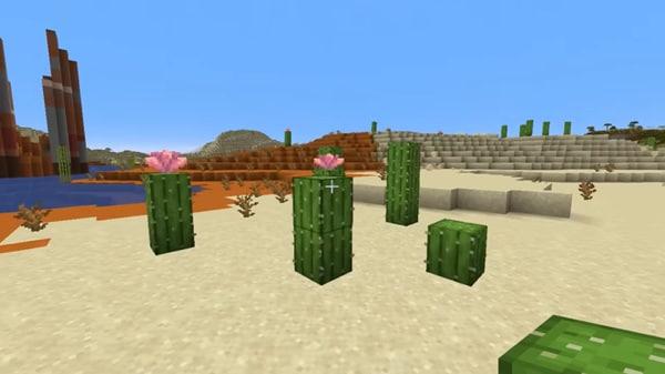 minecraft 1 21 70 apk full