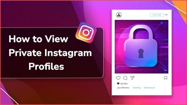 private insta apk 1