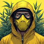 The Schedule I Project