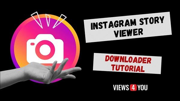 private account stalk apk free