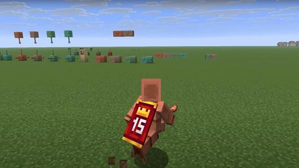 minecraft 1 21 100 apk  game