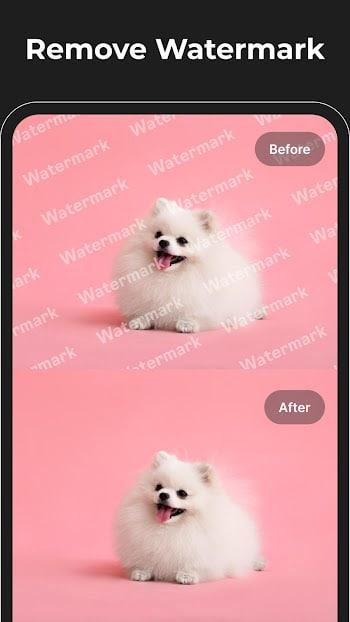 magic eraser apk mobile